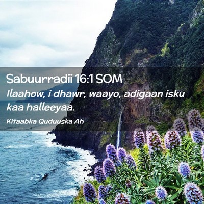 Picture 02 - Sabuurradii 16:1 SOM - Ilaahow, i dhawr, waayo, adigaan isku kaa - Bible Verse Picture