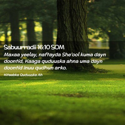 Picture 02 - Sabuurradii 16:10 SOM - Maxaa yeelay, naftayda She'ool kuma dayn doontid, - Bible Verse Picture
