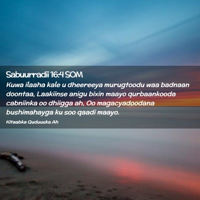Picture 02 - Sabuurradii 16:4 SOM - Kuwa ilaaha kale u dheereeya murugtoodu waa - Bible Verse Picture