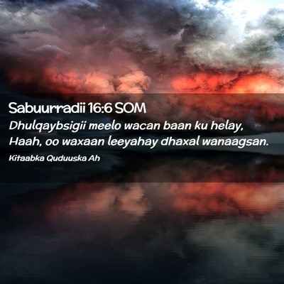 Picture 02 - Sabuurradii 16:6 SOM - Dhulqaybsigii meelo wacan baan ku helay, Haah, oo - Bible Verse Picture