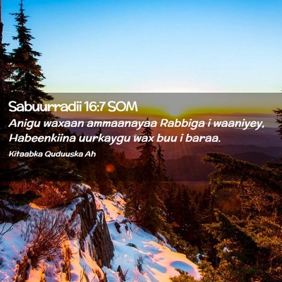 Picture 02 - Sabuurradii 16:7 SOM - Anigu waxaan ammaanayaa Rabbiga i waaniyey, - Bible Verse Picture