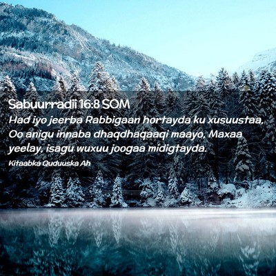 Picture 02 - Sabuurradii 16:8 SOM - Had iyo jeerba Rabbigaan hortayda ku xusuustaa, - Bible Verse Picture