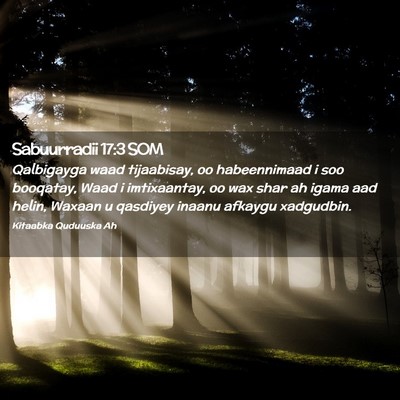 Picture 02 - Sabuurradii 17:3 SOM - Qalbigayga waad tijaabisay, oo habeennimaad i soo - Bible Verse Picture