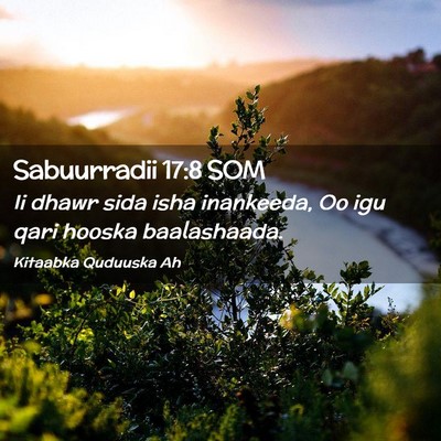 Picture 02 - Sabuurradii 17:8 SOM - Ii dhawr sida isha inankeeda, Oo igu qari hooska - Bible Verse Picture
