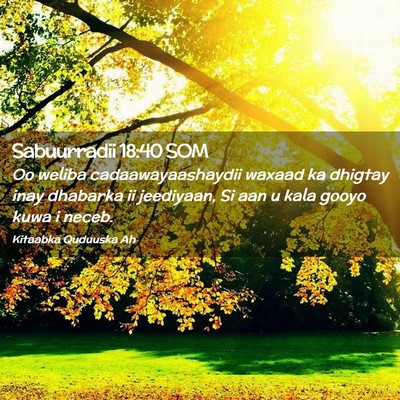 Picture 02 - Sabuurradii 18:40 SOM - Oo weliba cadaawayaashaydii waxaad ka dhigtay - Bible Verse Picture
