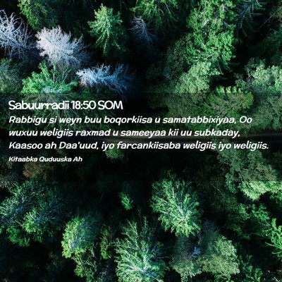 Picture 02 - Sabuurradii 18:50 SOM - Rabbigu si weyn buu boqorkiisa u samatabbixiyaa, - Bible Verse Picture