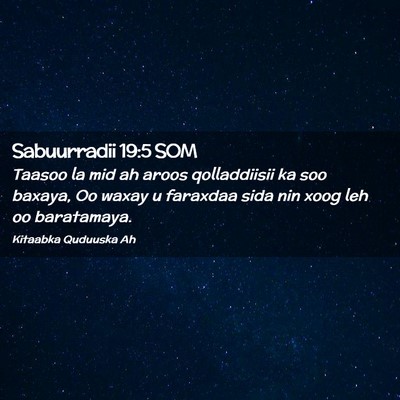 Picture 02 - Sabuurradii 19:5 SOM - Taasoo la mid ah aroos qolladdiisii ka soo - Bible Verse Picture
