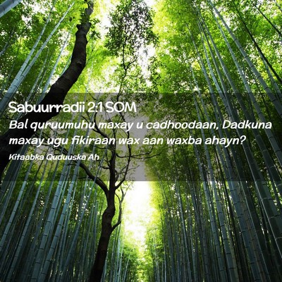 Picture 02 - Sabuurradii 2:1 SOM - Bal quruumuhu maxay u cadhoodaan, Dadkuna maxay - Bible Verse Picture