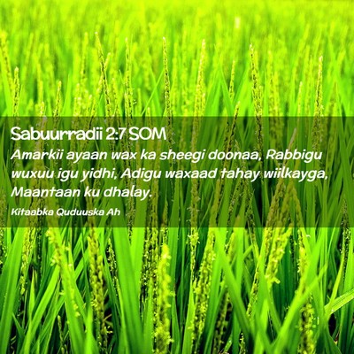 Picture 02 - Sabuurradii 2:7 SOM - Amarkii ayaan wax ka sheegi doonaa, Rabbigu wuxuu - Bible Verse Picture