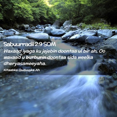 Picture 02 - Sabuurradii 2:9 SOM - Waxaad iyaga ku jejebin doontaa ul bir ah, Oo - Bible Verse Picture