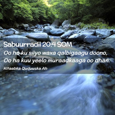 Picture 02 - Sabuurradii 20:4 SOM - Oo ha ku siiyo waxa qalbigaagu doono, Oo ha kuu - Bible Verse Picture