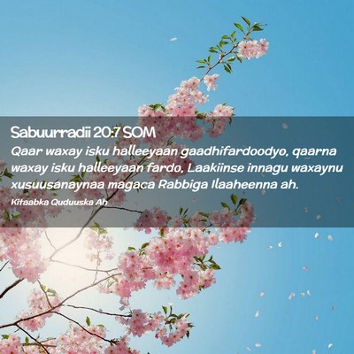 Picture 02 - Sabuurradii 20:7 SOM - Qaar waxay isku halleeyaan gaadhifardoodyo, - Bible Verse Picture