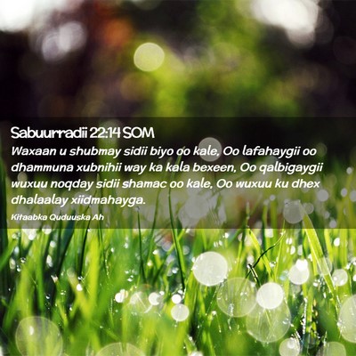 Picture 02 - Sabuurradii 22:14 SOM - Waxaan u shubmay sidii biyo oo kale, Oo - Bible Verse Picture