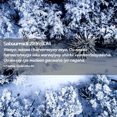 Picture 02 - Sabuurradii 22:16 SOM - Waayo, waxaa i hareereeyey eeyo, Oo waxaa - Bible Verse Picture