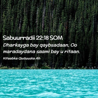 Picture 02 - Sabuurradii 22:18 SOM - Dharkayga bay qaybsadaan, Oo maradaydana saami - Bible Verse Picture