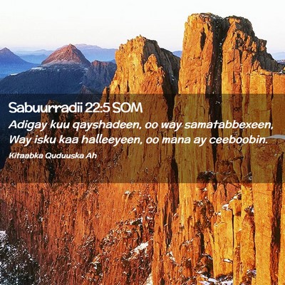 Picture 02 - Sabuurradii 22:5 SOM - Adigay kuu qayshadeen, oo way samatabbexeen, Way - Bible Verse Picture