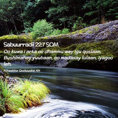 Picture 02 - Sabuurradii 22:7 SOM - Oo kuwa i arka oo dhammu way igu qoslaan, - Bible Verse Picture