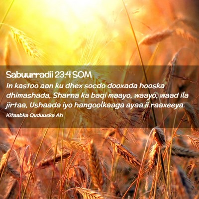 Picture 02 - Sabuurradii 23:4 SOM - In kastoo aan ku dhex socdo dooxada hooska - Bible Verse Picture