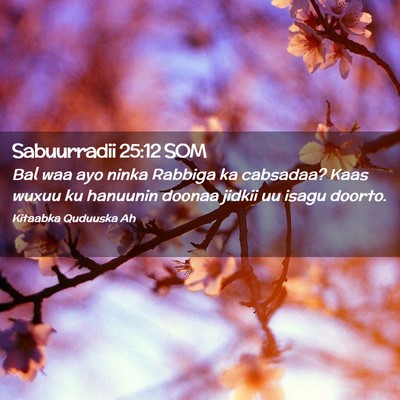 Picture 02 - Sabuurradii 25:12 SOM - Bal waa ayo ninka Rabbiga ka cabsadaa? Kaas wuxuu - Bible Verse Picture