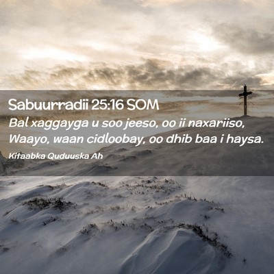 Picture 02 - Sabuurradii 25:16 SOM - Bal xaggayga u soo jeeso, oo ii naxariiso, Waayo, - Bible Verse Picture
