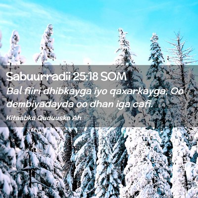 Picture 02 - Sabuurradii 25:18 SOM - Bal fiiri dhibkayga iyo qaxarkayga, Oo - Bible Verse Picture