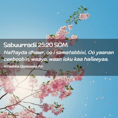 Picture 02 - Sabuurradii 25:20 SOM - Naftayda dhawr, oo i samatabbixi, Oo yaanan - Bible Verse Picture