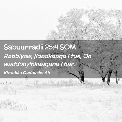 Picture 02 - Sabuurradii 25:4 SOM - Rabbiyow, jidadkaaga i tus, Oo waddooyinkaagana i - Bible Verse Picture