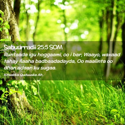 Picture 02 - Sabuurradii 25:5 SOM - Runtaada igu hoggaami, oo i bar, Waayo, waxaad - Bible Verse Picture
