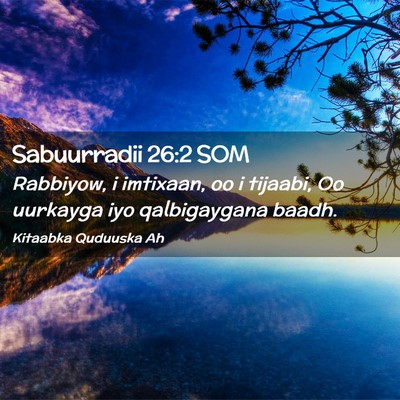 Picture 02 - Sabuurradii 26:2 SOM - Rabbiyow, i imtixaan, oo i tijaabi, Oo uurkayga - Bible Verse Picture