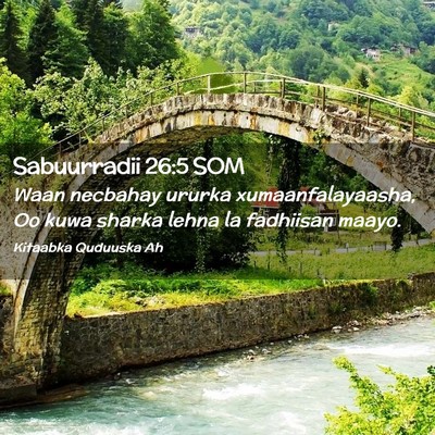 Picture 02 - Sabuurradii 26:5 SOM - Waan necbahay ururka xumaanfalayaasha, Oo kuwa - Bible Verse Picture