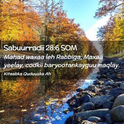 Picture 02 - Sabuurradii 28:6 SOM - Mahad waxaa leh Rabbiga, Maxaa yeelay, codkii - Bible Verse Picture