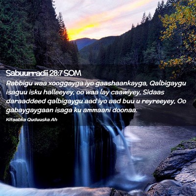 Picture 02 - Sabuurradii 28:7 SOM - Rabbigu waa xooggayga iyo gaashaankayga, - Bible Verse Picture