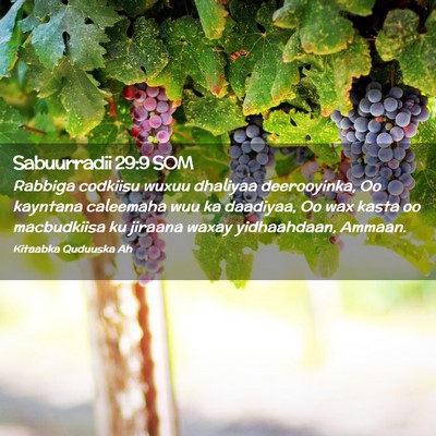 Picture 02 - Sabuurradii 29:9 SOM - Rabbiga codkiisu wuxuu dhaliyaa deerooyinka, Oo - Bible Verse Picture