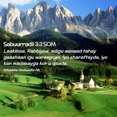 Picture 02 - Sabuurradii 3:3 SOM - Laakiinse, Rabbiyow, adigu waxaad tahay gaashaan - Bible Verse Picture