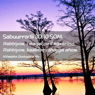 Picture 02 - Sabuurradii 30:10 SOM - Rabbiyow, i maqal oo ii naxariiso, Rabbiyow, - Bible Verse Picture