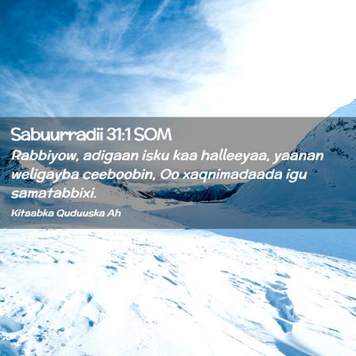 Picture 02 - Sabuurradii 31:1 SOM - Rabbiyow, adigaan isku kaa halleeyaa, yaanan - Bible Verse Picture