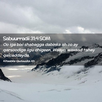 Picture 02 - Sabuurradii 31:4 SOM - Oo iga bixi shabagga dabinka ah oo ay qarsoodiga - Bible Verse Picture