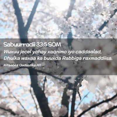 Picture 02 - Sabuurradii 33:5 SOM - Wuxuu jecel yahay xaqnimo iyo caddaalad, Dhulka - Bible Verse Picture