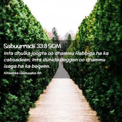 Picture 02 - Sabuurradii 33:8 SOM - Inta dhulka joogta oo dhammu Rabbiga ha ka - Bible Verse Picture