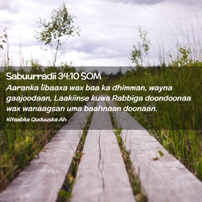 Picture 02 - Sabuurradii 34:10 SOM - Aaranka libaaxa wax baa ka dhimman, wayna - Bible Verse Picture