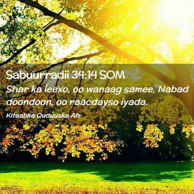 Picture 02 - Sabuurradii 34:14 SOM - Shar ka leexo, oo wanaag samee, Nabad doondoon, - Bible Verse Picture