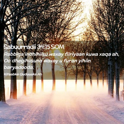 Picture 02 - Sabuurradii 34:15 SOM - Rabbiga indhihiisu waxay fiiriyaan kuwa xaqa ah, - Bible Verse Picture