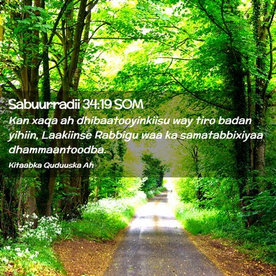 Picture 02 - Sabuurradii 34:19 SOM - Kan xaqa ah dhibaatooyinkiisu way tiro badan - Bible Verse Picture