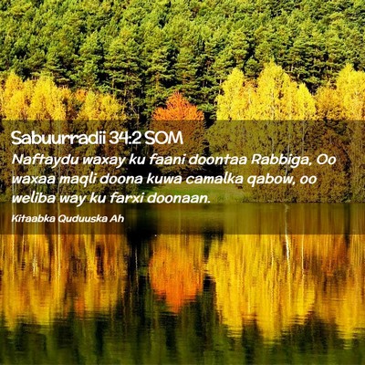 Picture 02 - Sabuurradii 34:2 SOM - Naftaydu waxay ku faani doontaa Rabbiga, Oo waxaa - Bible Verse Picture