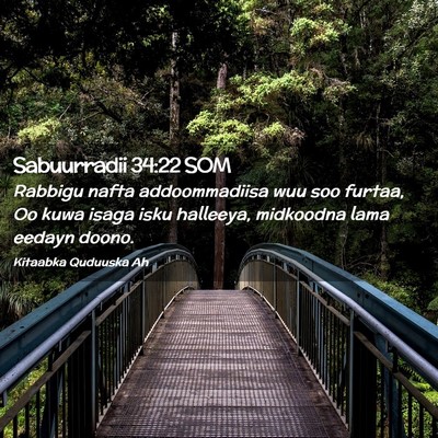 Picture 02 - Sabuurradii 34:22 SOM - Rabbigu nafta addoommadiisa wuu soo furtaa, Oo - Bible Verse Picture