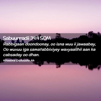 Picture 02 - Sabuurradii 34:4 SOM - Rabbigaan doondoonay, oo isna wuu ii jawaabay, Oo - Bible Verse Picture