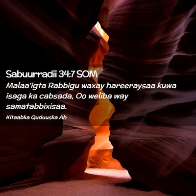 Picture 02 - Sabuurradii 34:7 SOM - Malaa'igta Rabbigu waxay hareeraysaa kuwa isaga - Bible Verse Picture