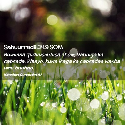 Picture 02 - Sabuurradii 34:9 SOM - Kuwiinna quduusiintiisa ahow; Rabbiga ka cabsada, - Bible Verse Picture