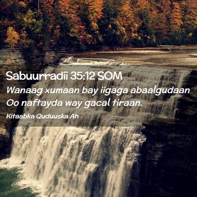 Picture 02 - Sabuurradii 35:12 SOM - Wanaag xumaan bay iigaga abaalgudaan Oo naftayda - Bible Verse Picture