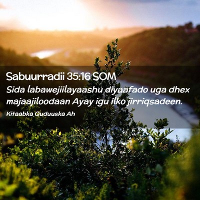 Picture 02 - Sabuurradii 35:16 SOM - Sida labawejiilayaashu diyaafado uga dhex - Bible Verse Picture